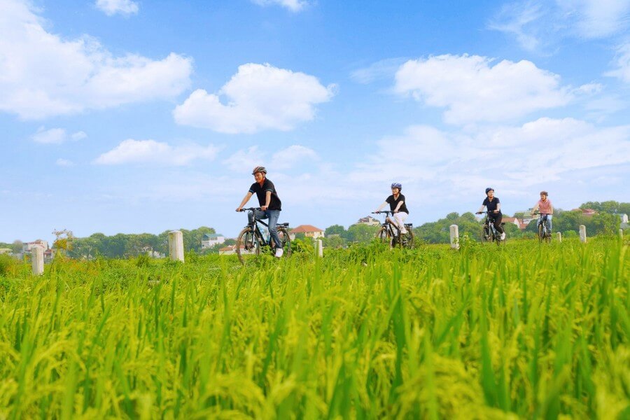 Ninh Binh Bicycle Trip 2 Days